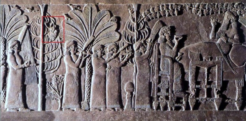 BASSORILIEVO PROVENIENTE DA NINIVE IN CUI È RAFFIGURATO ASSURBANIPAL IN ATTEGGIAMENTO FESTOSO, INSIEME ALLA SUA REGINA, NEI GIARDINI REALI. IL RIQUADRO ROSSO EVIDENZIA UNA TESTA MOZZATA APPESA A UN ALBERO, CHE POTREBBE ESSERE QUELLA DEL RE DI ELAM, DATO CHE IL BASSORILIEVO COMMEMORA LA VITTORIA SUGLI ELAMITI.