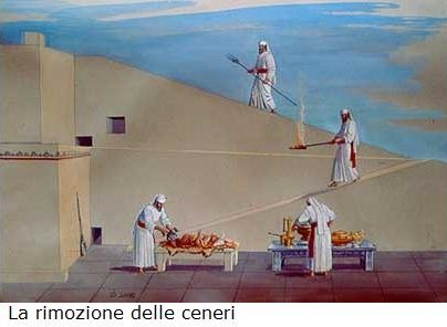 La rimozione delle ceneri